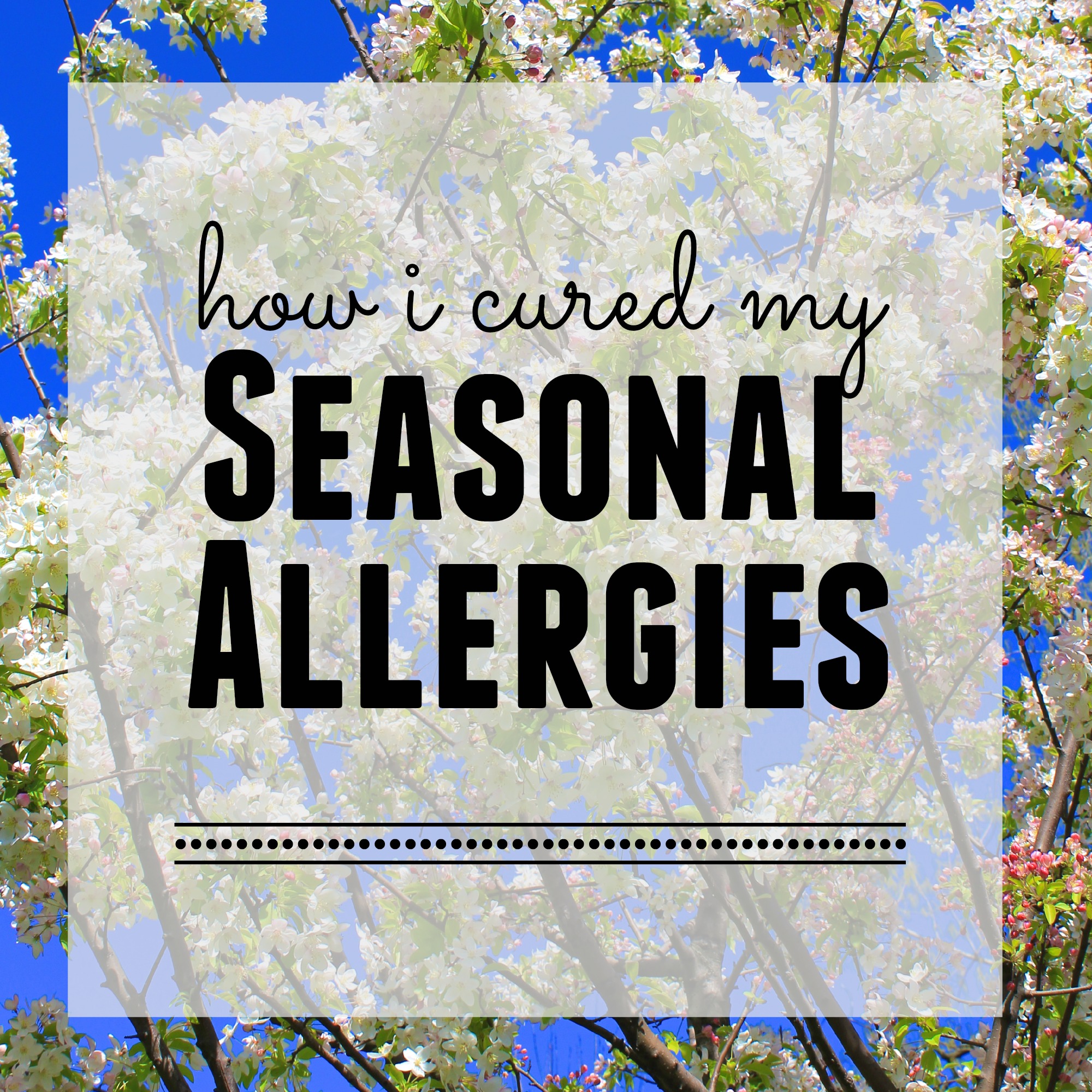 how-i-cured-my-seasonal-allergies-tedi-sarah