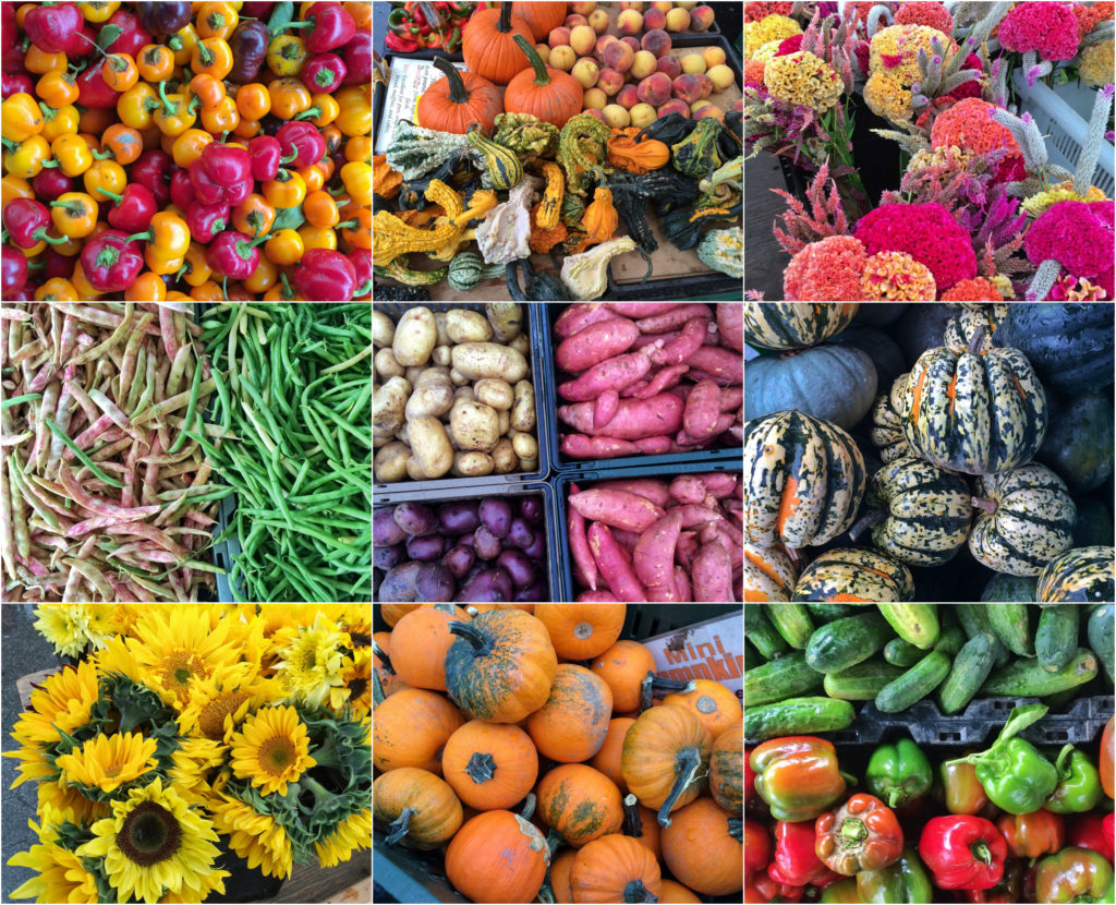 farmers-market-fall-tedi-sarah