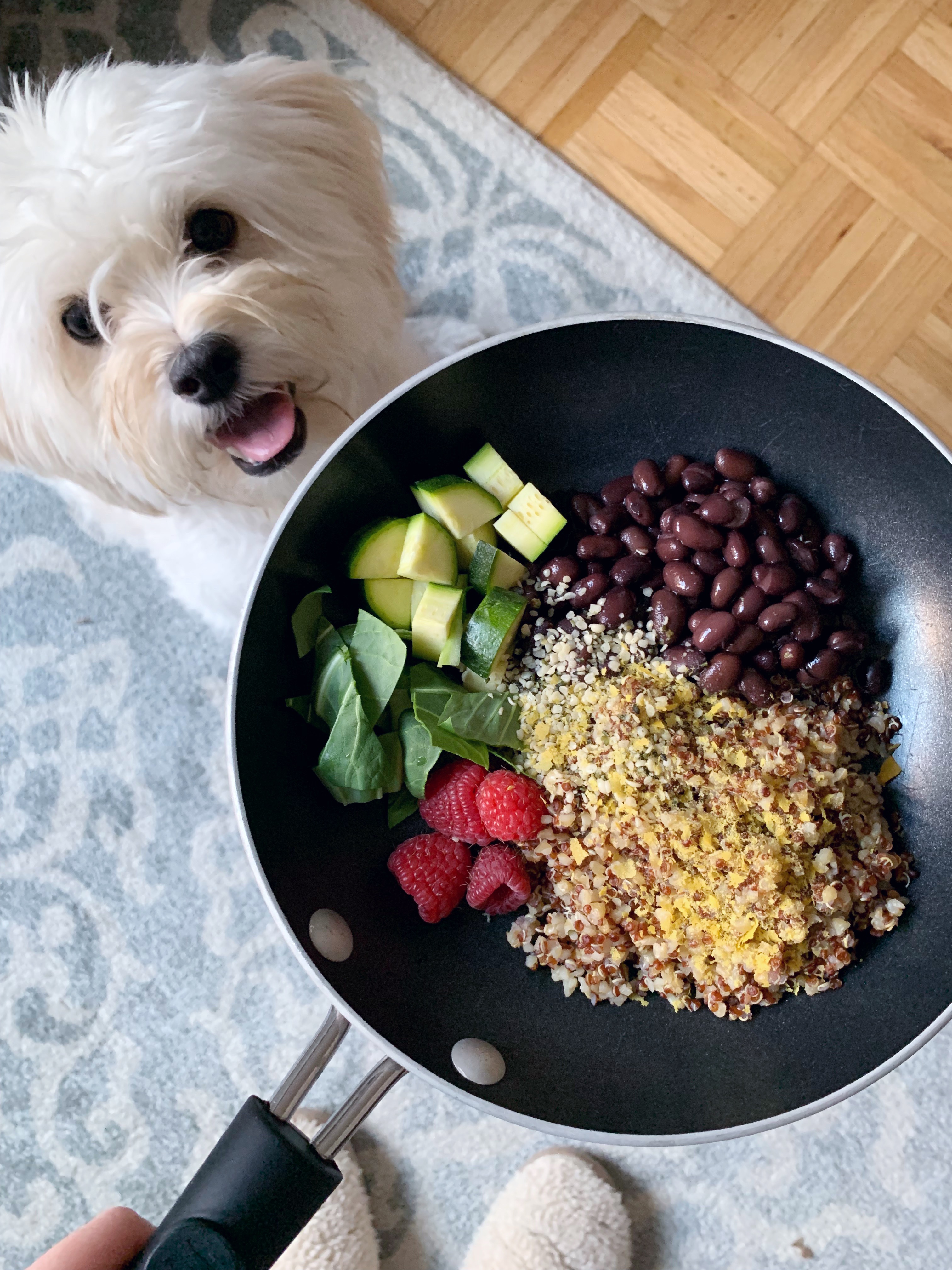 homemade vegan dog food recipes